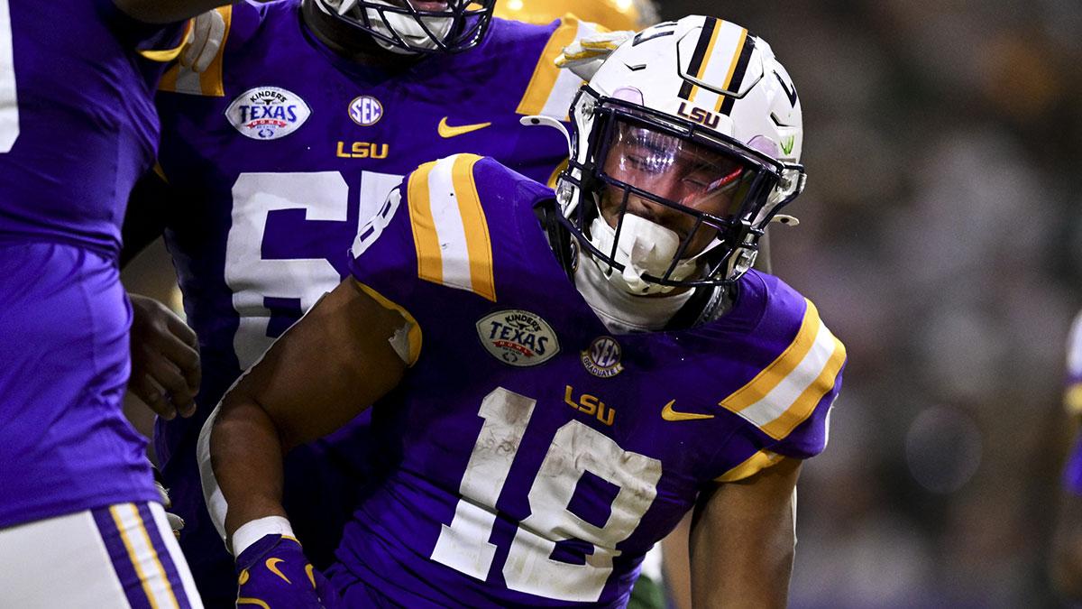 LSU Tigers running back Josh Williams (18) celebrates after scoring a touchdown during the second half against the Baylor Bears at NRG Stadium. The Tigers defeat the Bears 44-31.