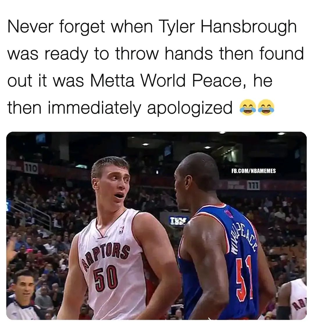 Tyler realized that there were levels to thisπ
#ronartest #mettaworldpeace #knicks #raptors