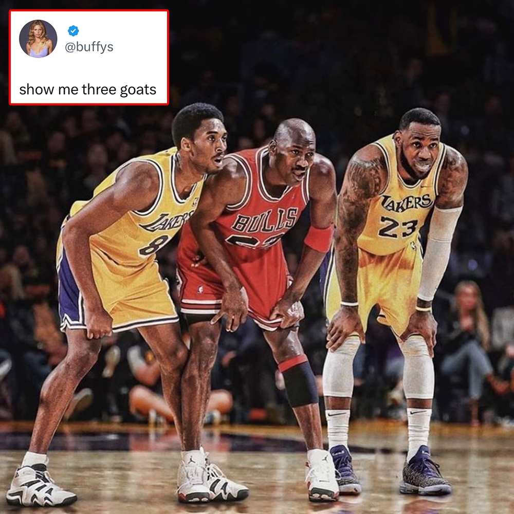 Kobe, MJ and Bron. 💯
#lebron #nbamemes